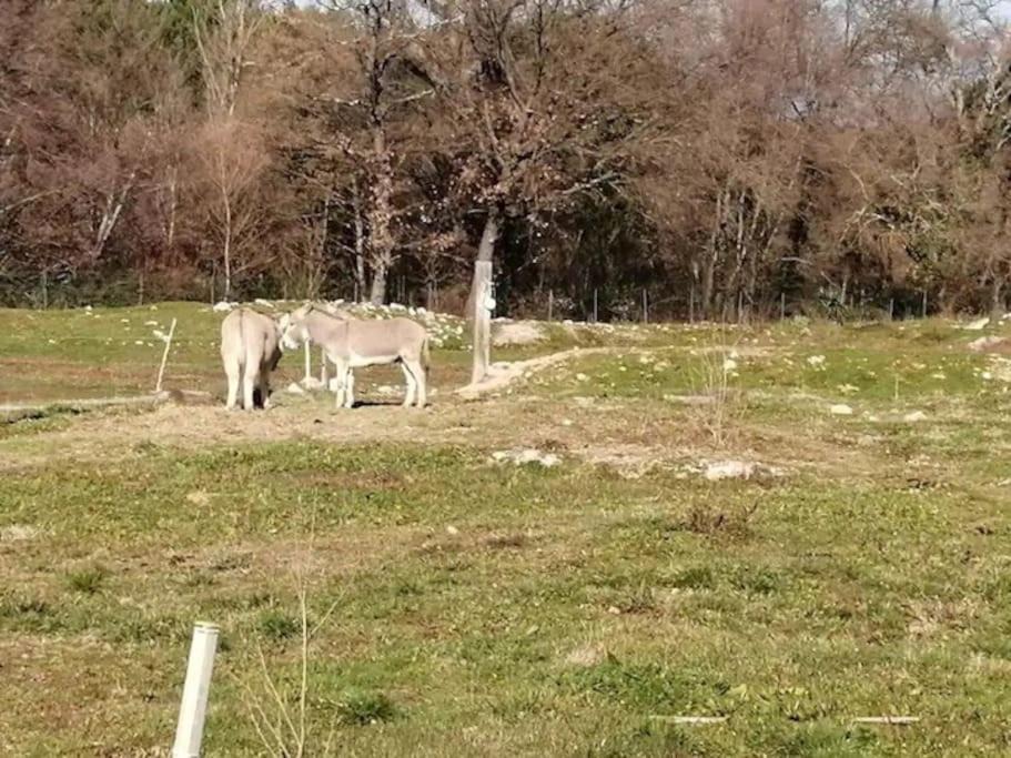 Photo of Others in Bagnols-en-Foret
