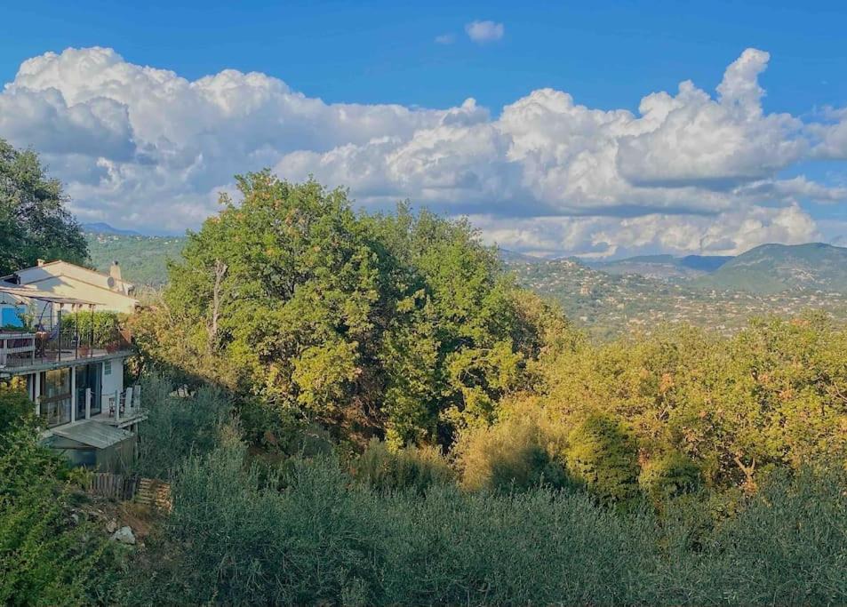 Photo of Outdoor in Chateauneuf-Villevieille