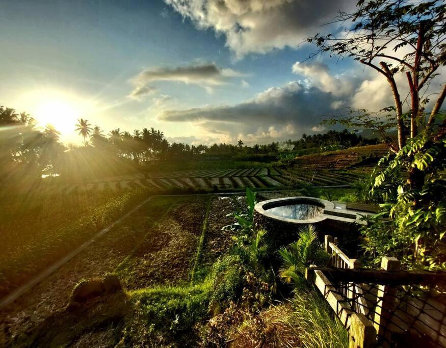 Photo of Others in Suraberata