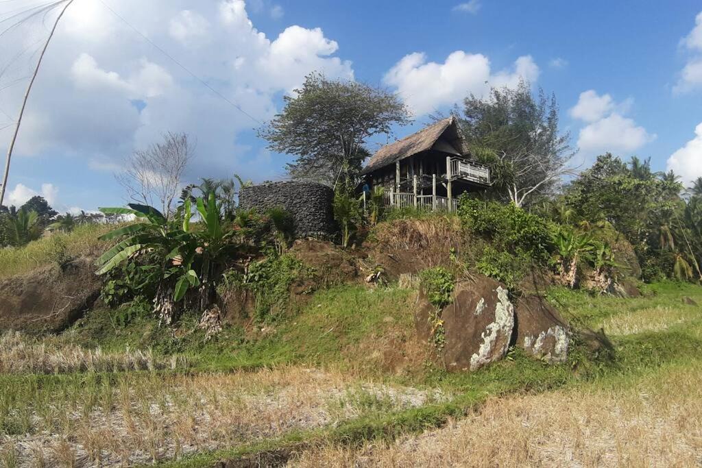 Photo of Others in Suraberata