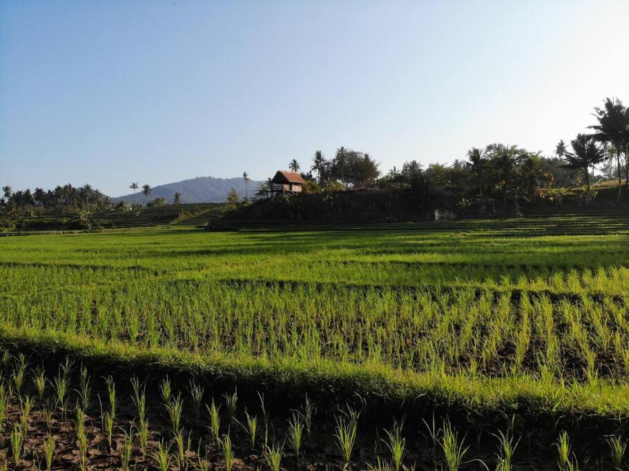 Photo of Others in Suraberata