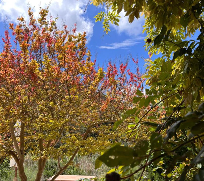 Photo of Outdoor in Campiglia Marittima