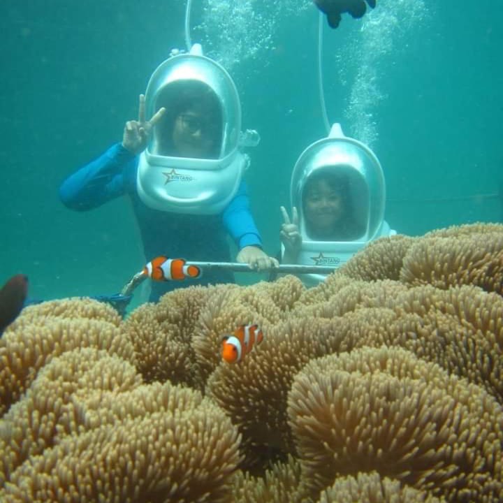 Photo of Others in Tanjungbenoa