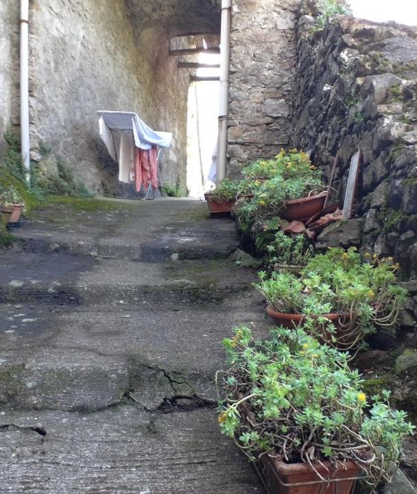 Photo of Buildings in Licciana Nardi