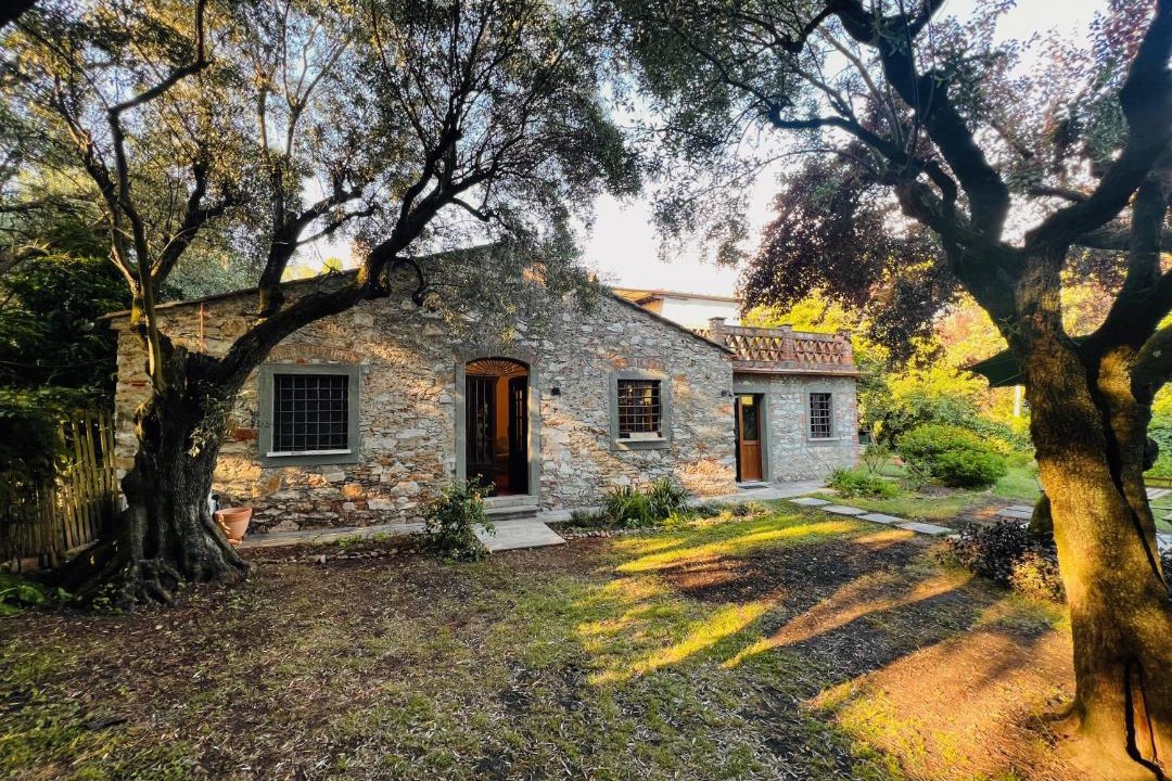 Photo of Buildings in Querceta