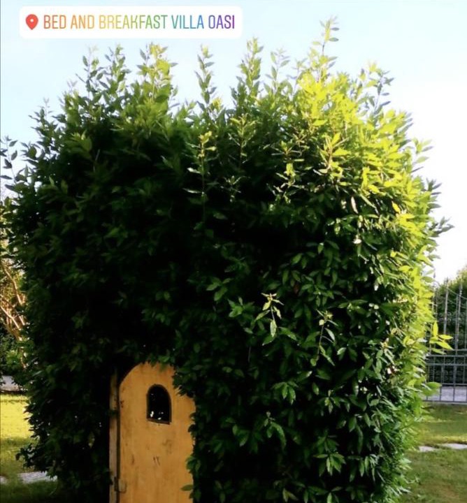 Photo of Outdoor in San Giuliano Terme
