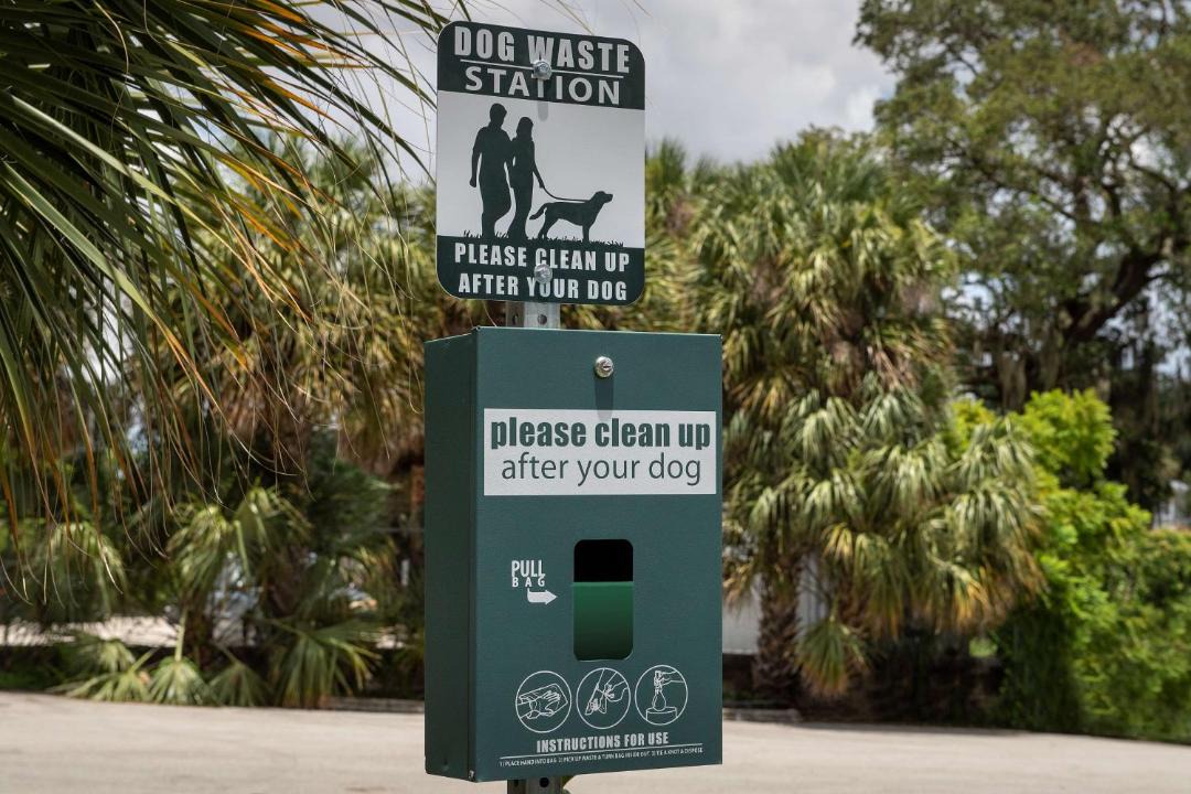 Photo of Others in Lake Eola Heights