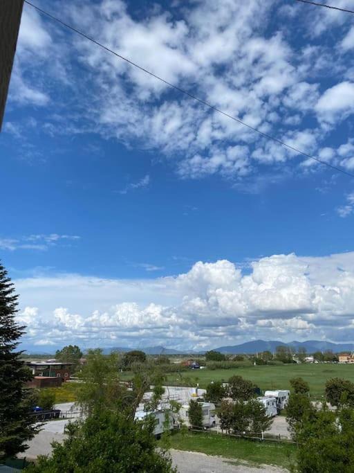 Photo of Outdoor in Marina di Pisa
