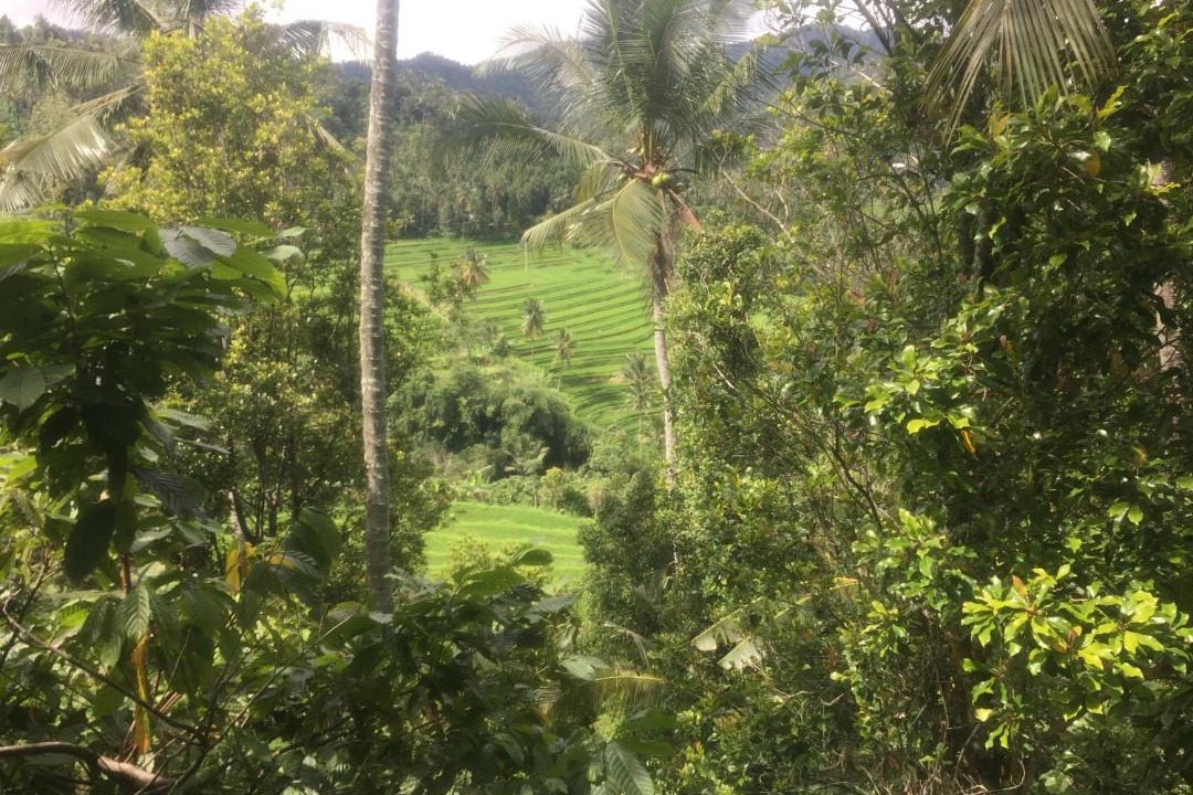 Photo of Others in Seririt