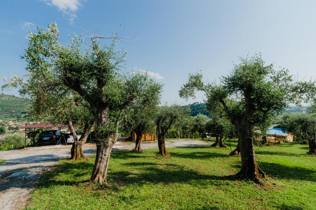 Photo of Others in Stiava