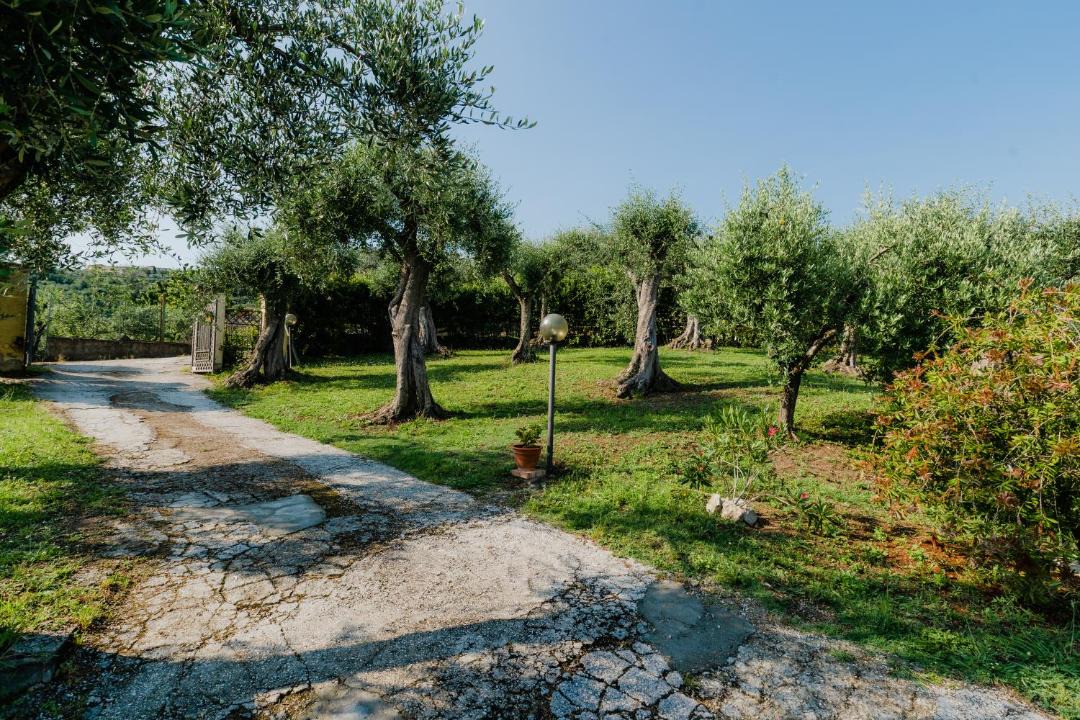 Photo of Others in Stiava