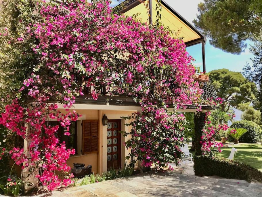 Photo of Buildings in Cap-Ferrat