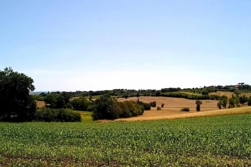 Photo of Others in Marciano della Chiana