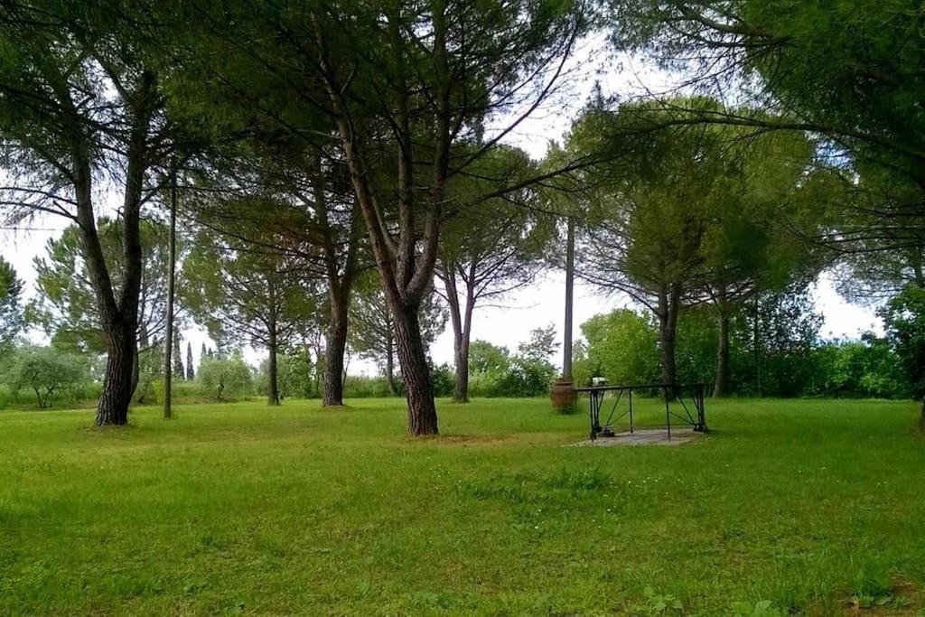 Photo of Others in Marciano della Chiana