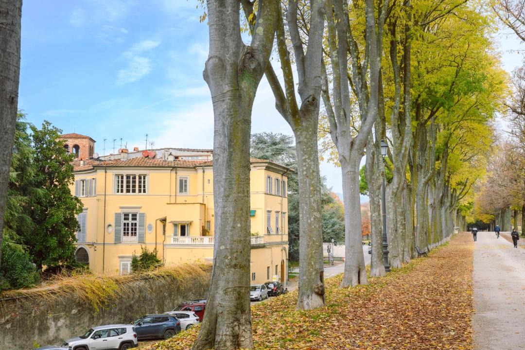 Photo of Buildings in Lucca Historical Center