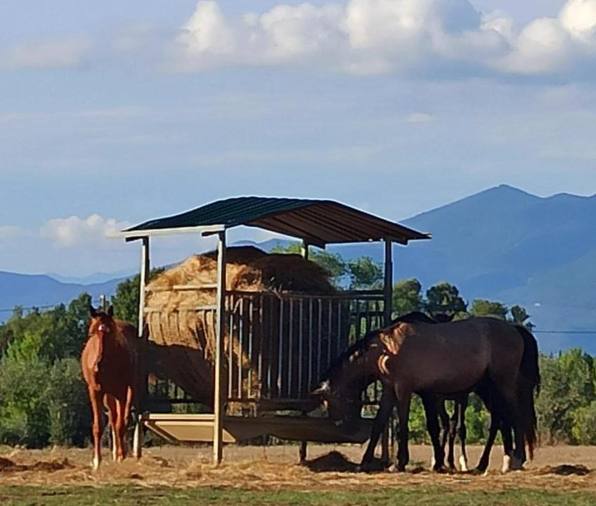Photo of Others in Fauglia