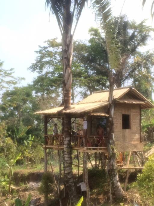 Photo of Others in Mekarsari