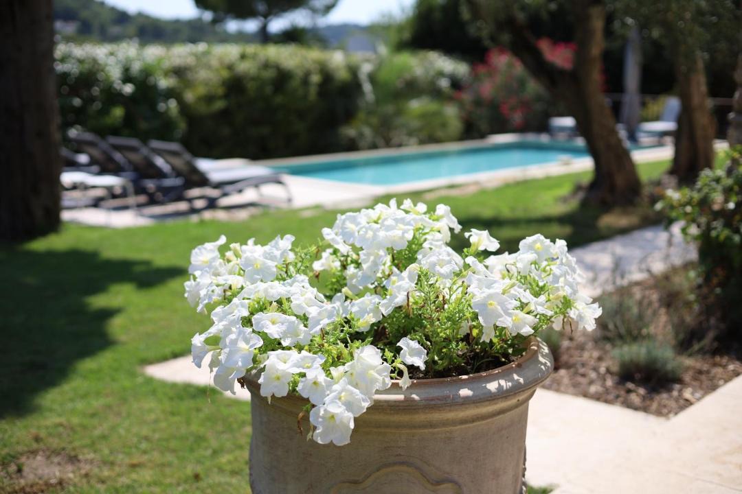 Photo of Others in Mougins