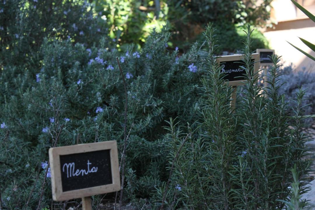 Photo of Outdoor in Mougins
