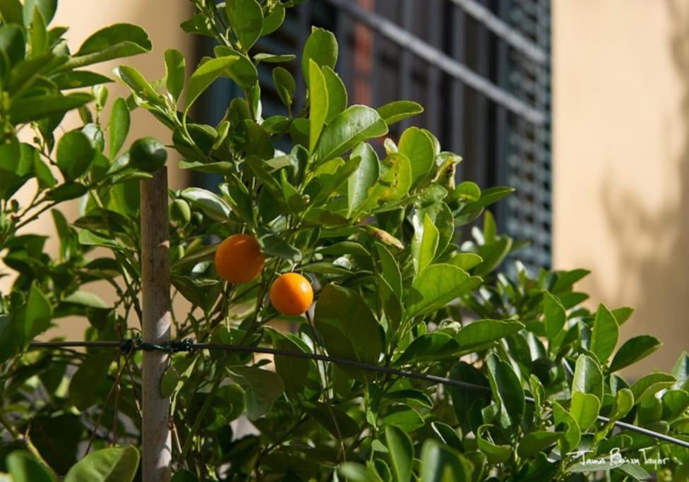 Photo of Others in San Casciano in Val di Pesa