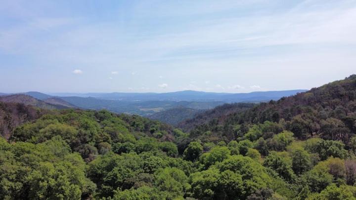 Photo of Outdoor in La Garde-Freinet