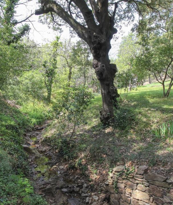 Photo of Outdoor in La Garde-Freinet
