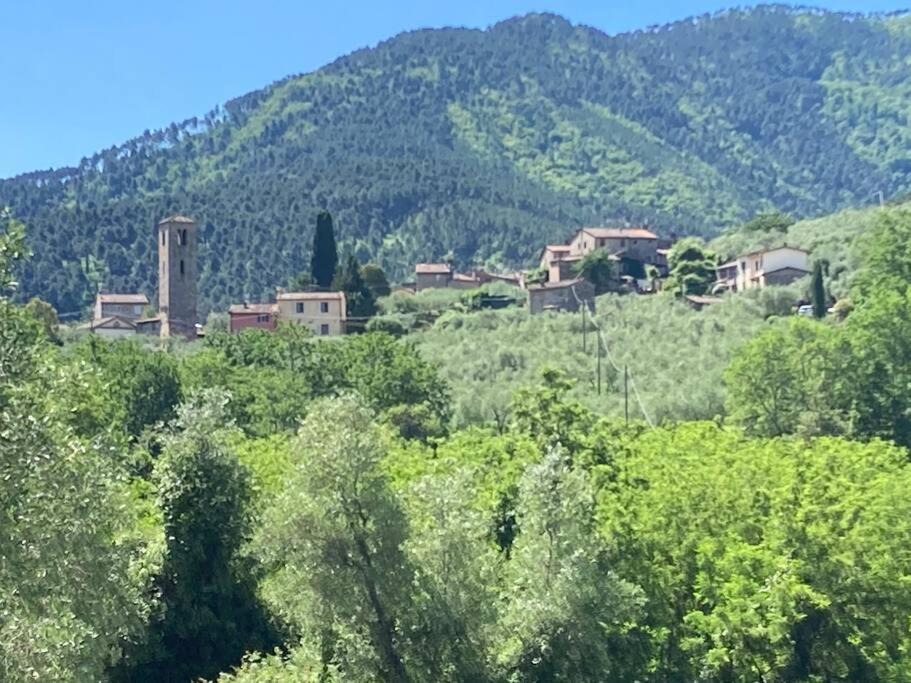 Photo of Others in Sant'Andrea di Compito