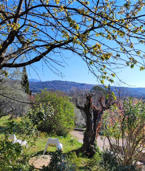 Photo of Others in Fayence