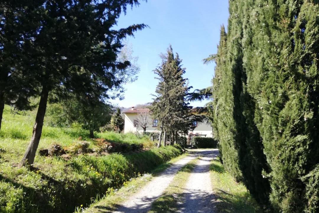 Photo of Others in Saturnana