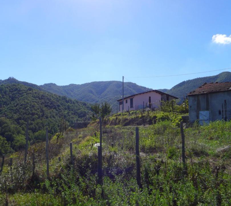Photo of Others in Aulla