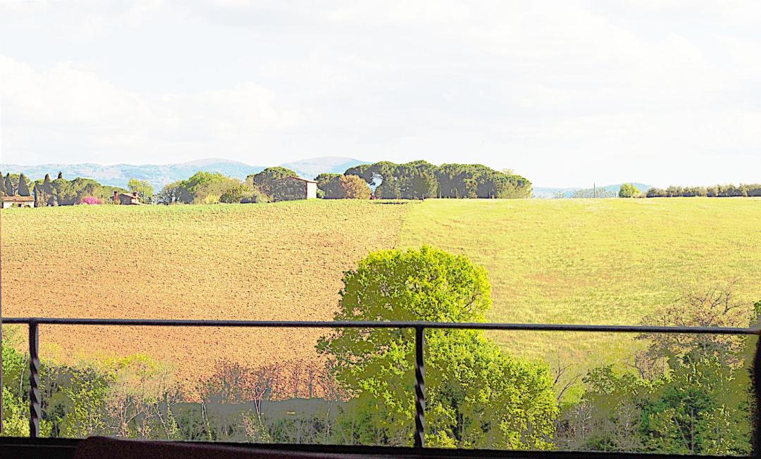 Photo of Others in Colle di Val d'Elsa