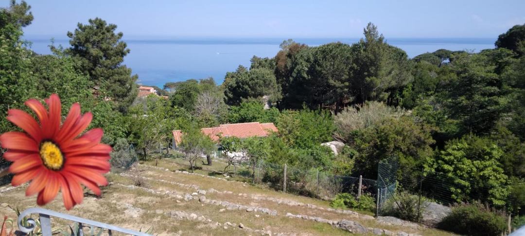Photo of Others in Sant' Andrea