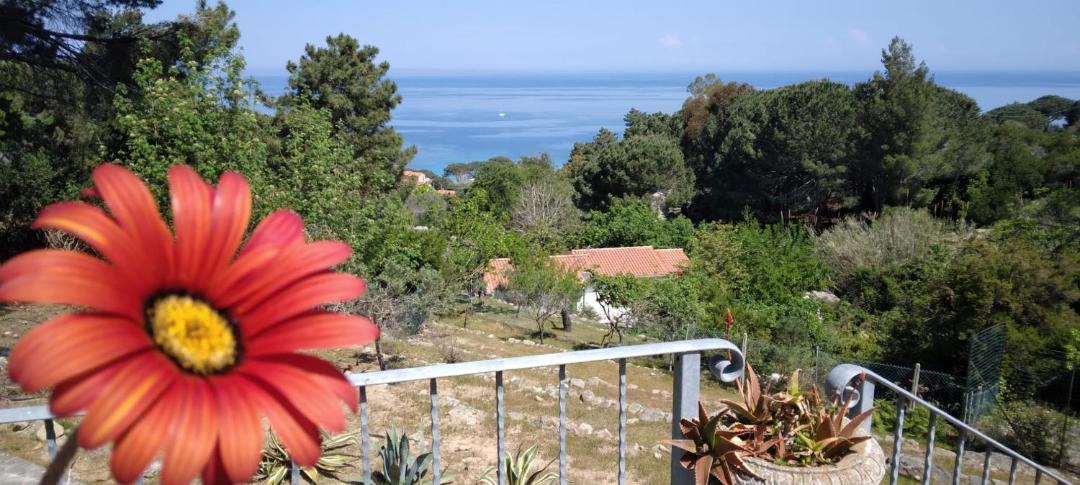 Photo of Others in Sant' Andrea