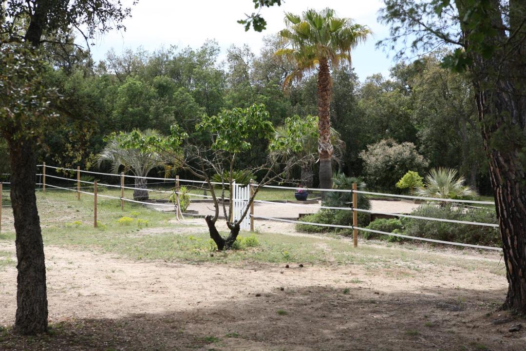 Photo of Outdoor in Plan-de-la-Tour