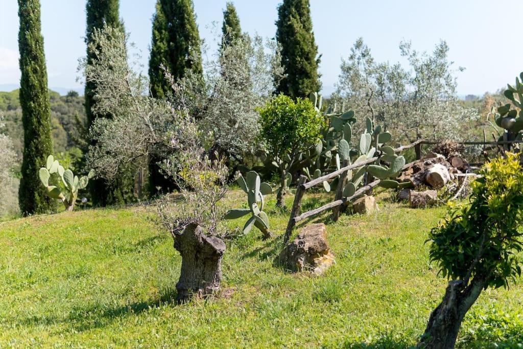 Photo of Others in Castiglioncello
