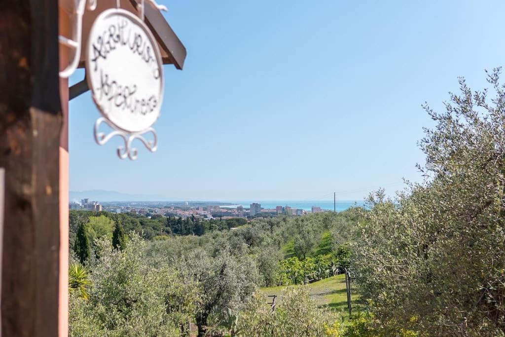 Photo of Others in Castiglioncello