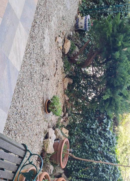 Photo of Others in Grasse