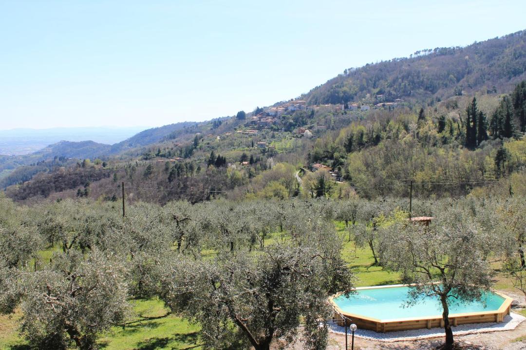 Photo of Others in Marliana