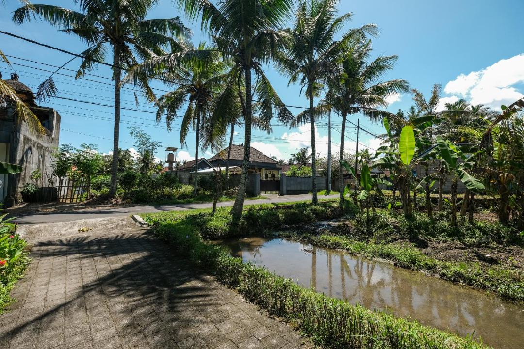 Photo of Others in Ubud