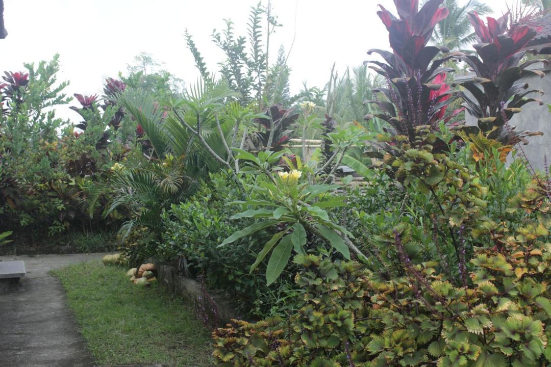 Photo of Outdoor in Ubud City-Centre