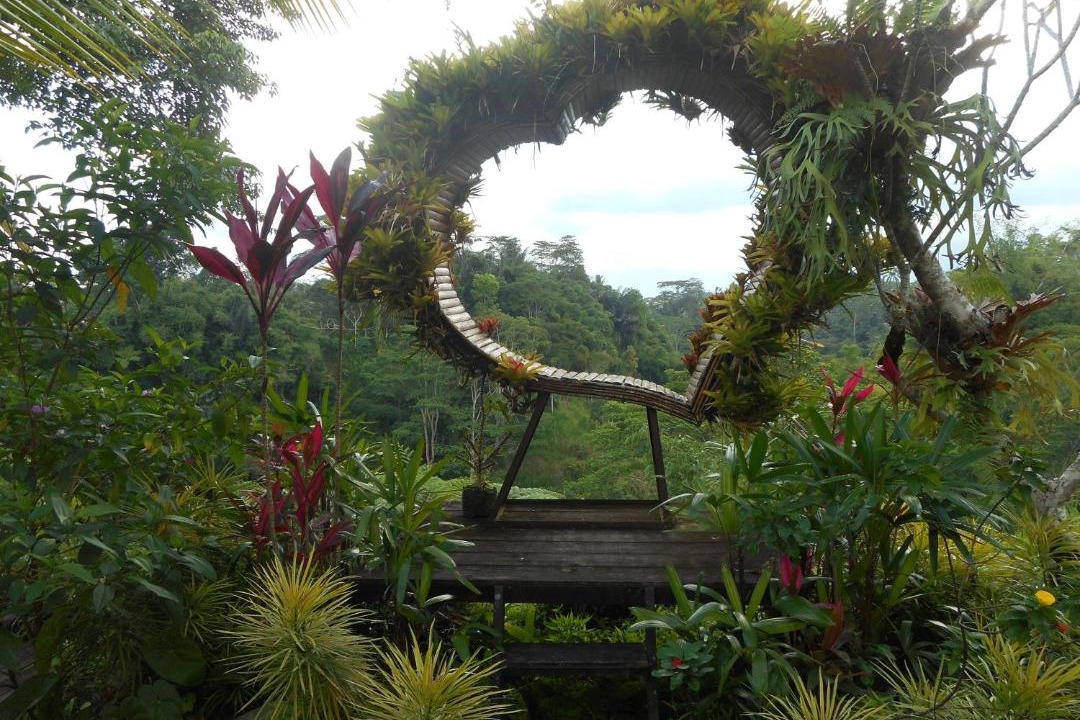 Photo of Outdoor in Taro