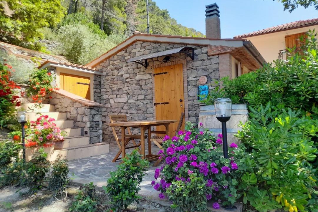 Photo of Others in Castellina Marittima