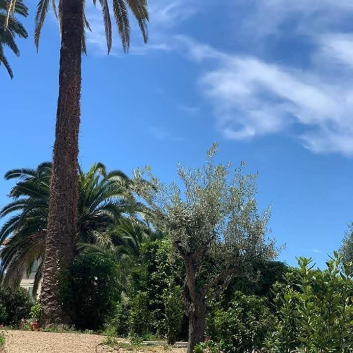Photo of Outdoor in Carnot