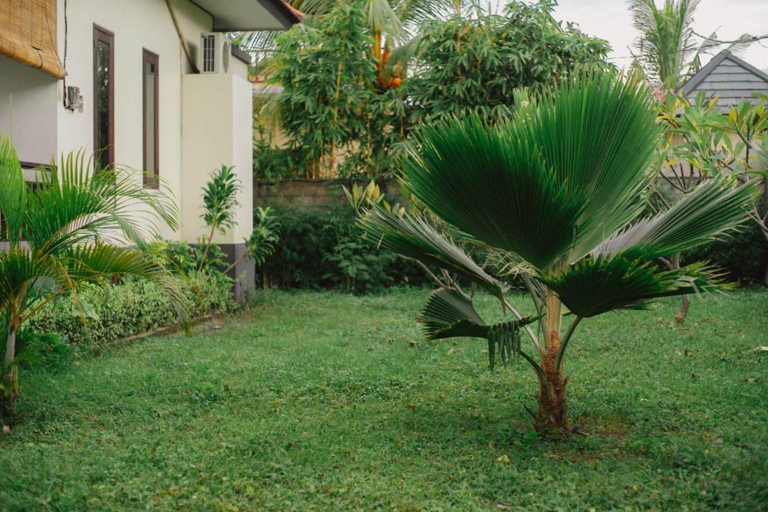 Photo of Others in Purwakerti