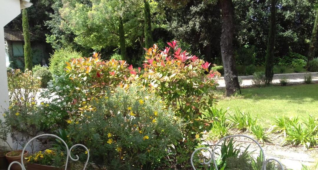 Photo of Others in Roquefort-les-Pins