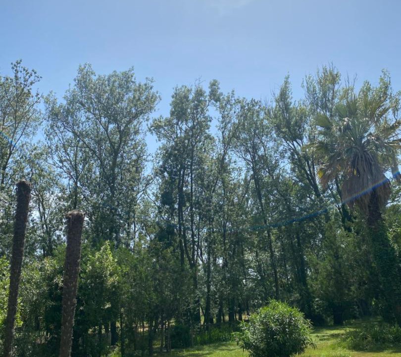 Photo of Outdoor in Saint-Jean