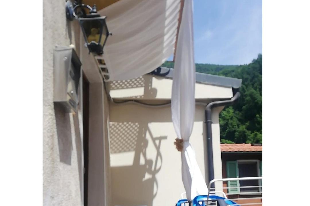 Photo of Others in Camaiore