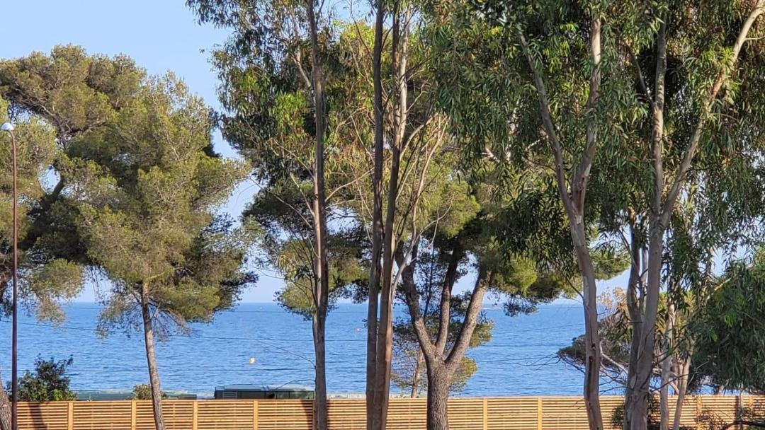 Photo of Outdoor in Plage de la Garonnette