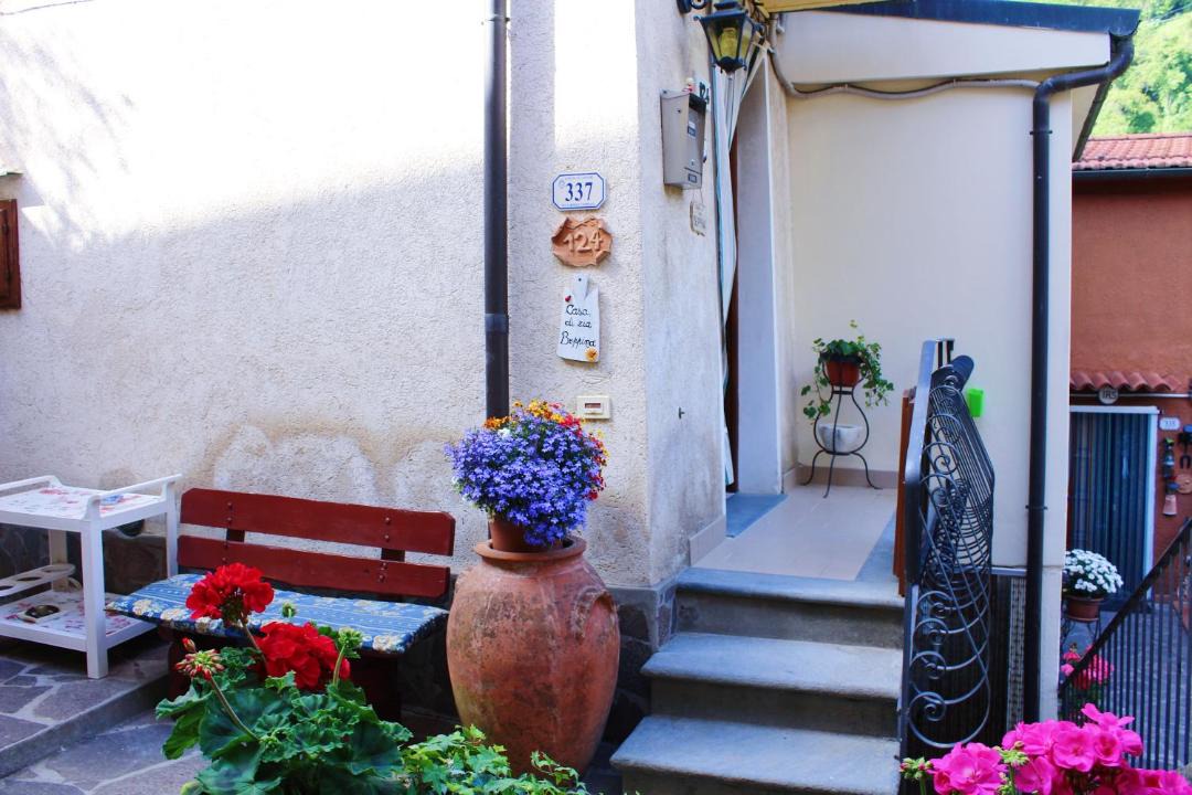 Photo of Others in Camaiore