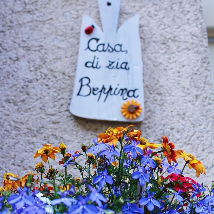 Photo of Others in Camaiore